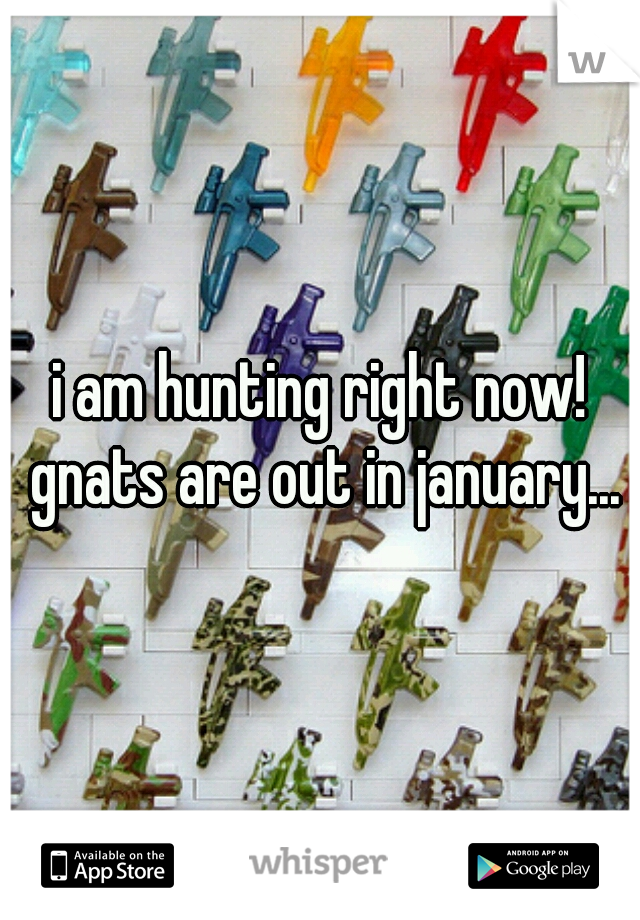 i am hunting right now! gnats are out in january...