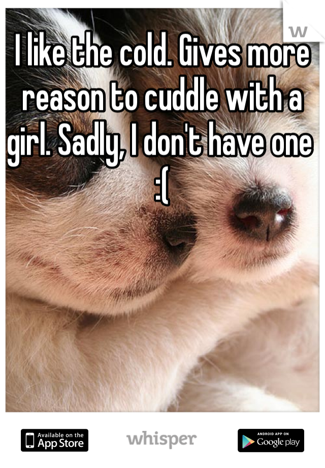 I like the cold. Gives more reason to cuddle with a girl. Sadly, I don't have one :(