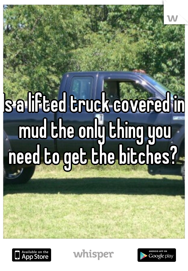 Is a lifted truck covered in mud the only thing you need to get the bitches? 