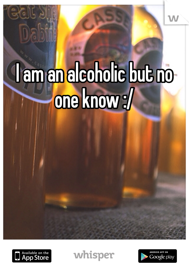 I am an alcoholic but no one know :/