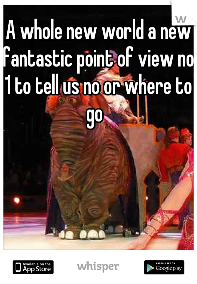 A whole new world a new fantastic point of view no 1 to tell us no or where to go  