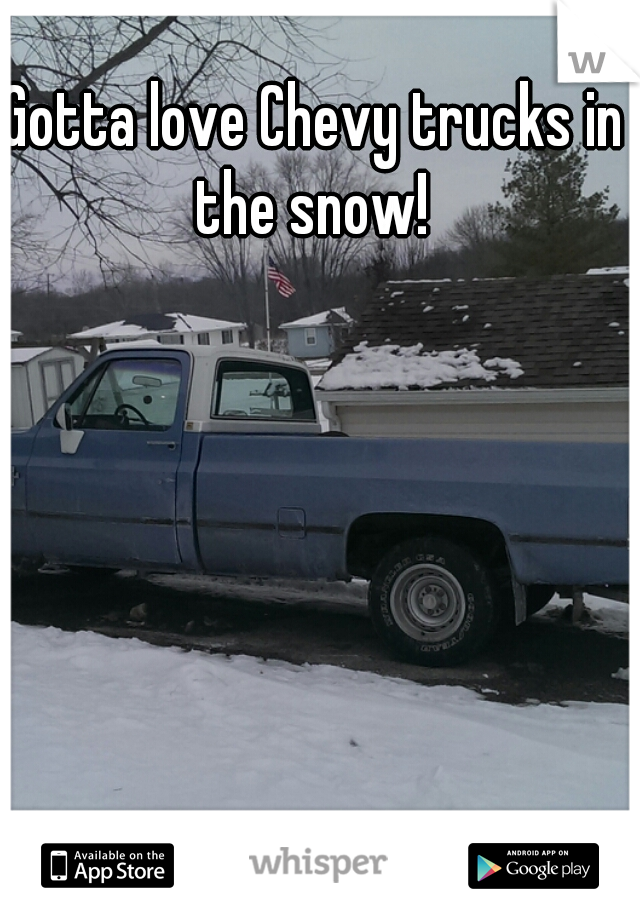 Gotta love Chevy trucks in the snow! 