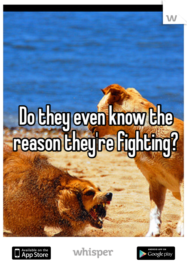 Do they even know the reason they're fighting? 