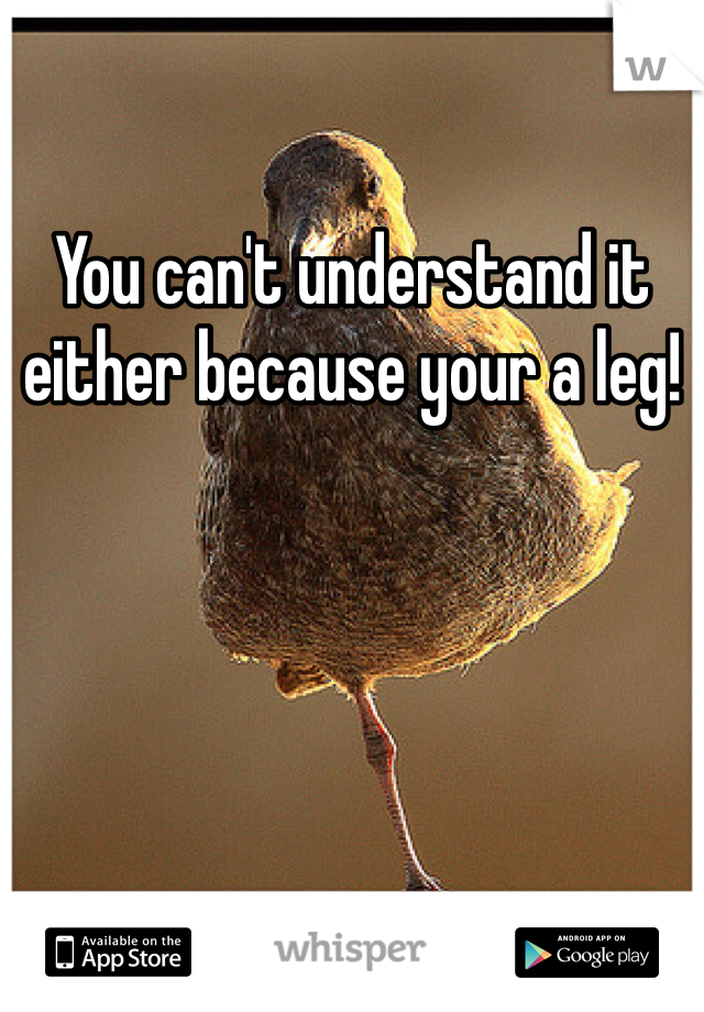 You can't understand it either because your a leg!