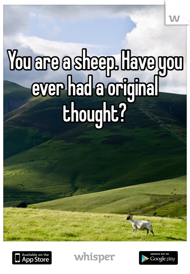 You are a sheep. Have you ever had a original thought? 