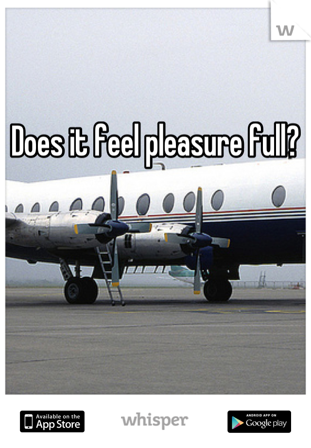 Does it feel pleasure full?