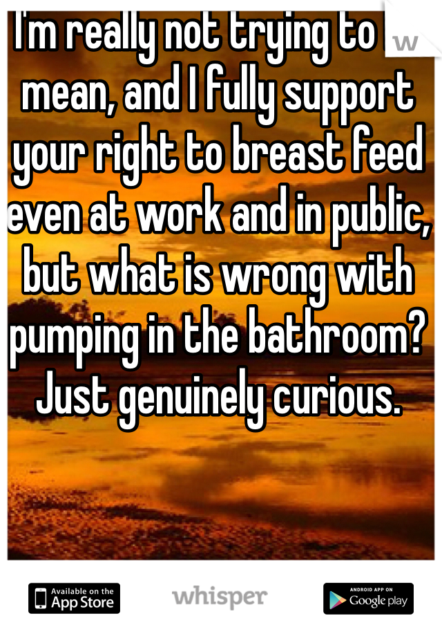 I'm really not trying to be mean, and I fully support your right to breast feed even at work and in public, but what is wrong with pumping in the bathroom? Just genuinely curious.