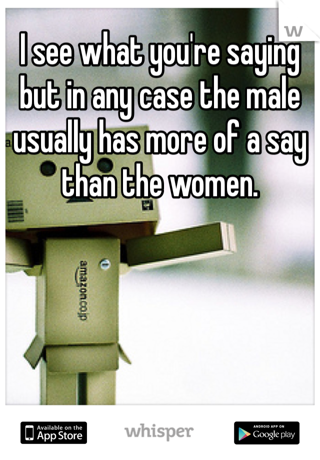 I see what you're saying but in any case the male usually has more of a say than the women. 