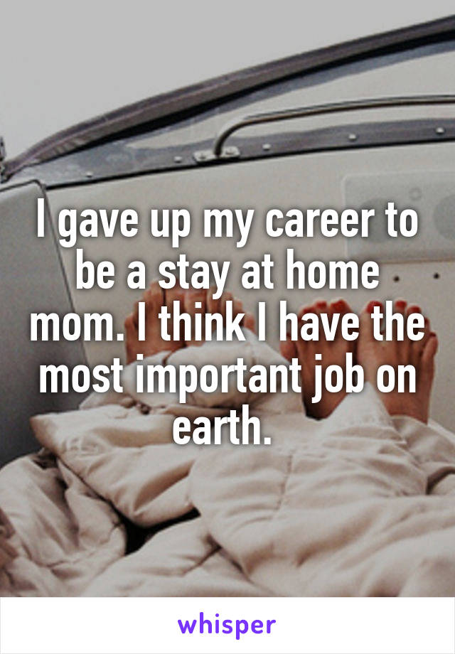 I gave up my career to be a stay at home mom. I think I have the most important job on earth. 