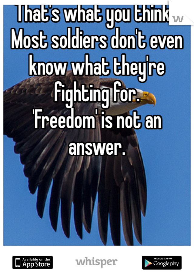 That's what you think? Most soldiers don't even know what they're fighting for.
'Freedom' is not an answer.