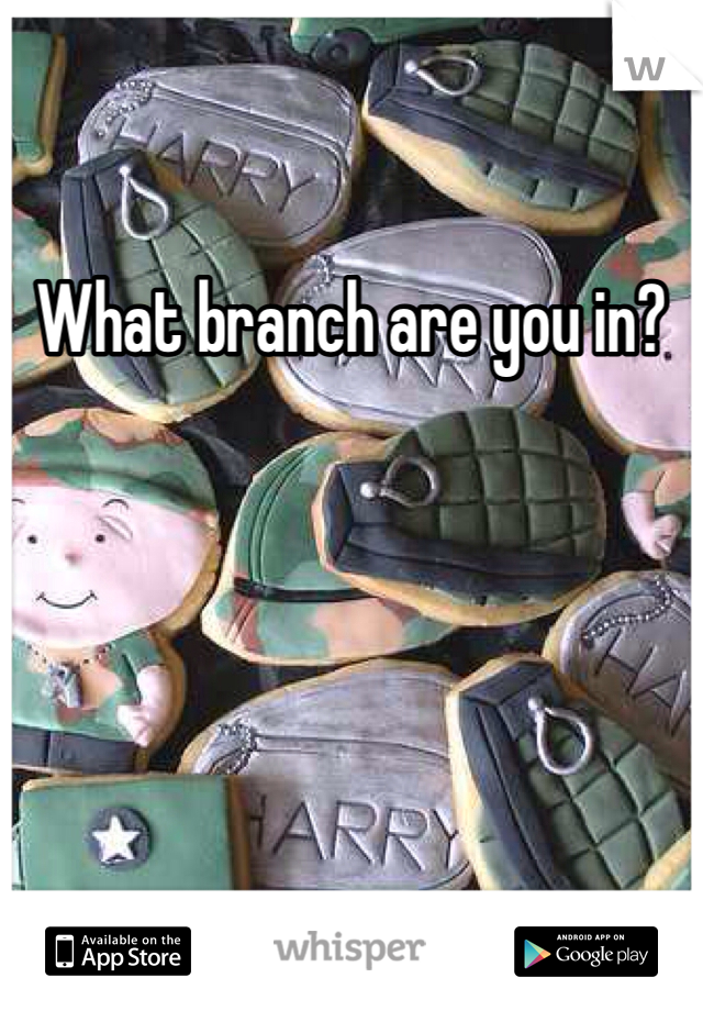 What branch are you in?