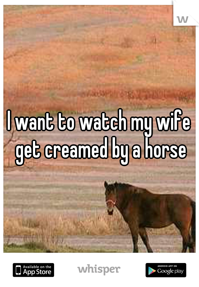 I want to watch my wife get creamed by a horse