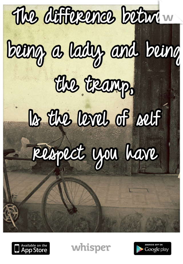 The difference between being a lady and being the tramp,
Is the level of self respect you have