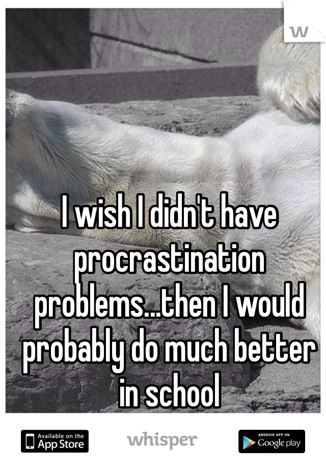 I wish I didn't have procrastination problems...then I would probably do much better in school 