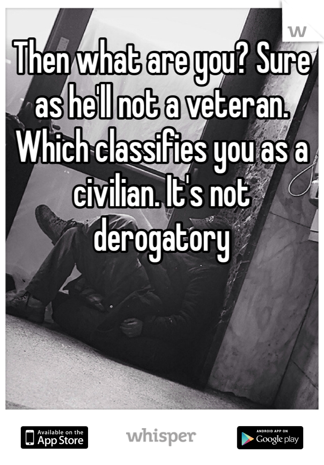 Then what are you? Sure as he'll not a veteran. Which classifies you as a civilian. It's not derogatory