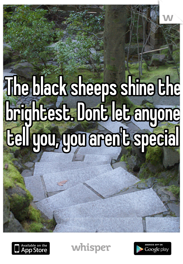 The black sheeps shine the brightest. Dont let anyone tell you, you aren't special