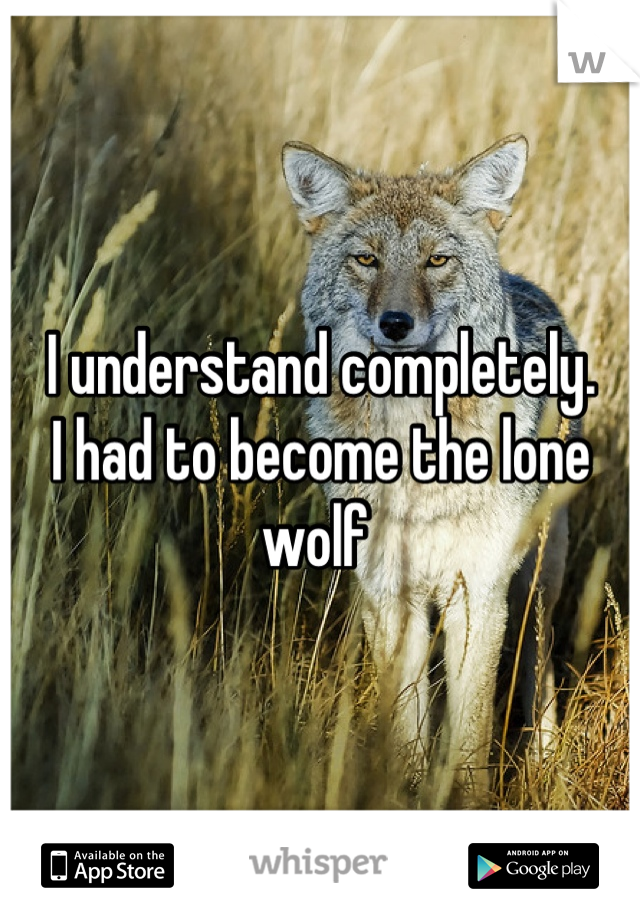 I understand completely. 
I had to become the lone wolf 