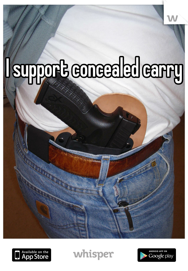 I support concealed carry