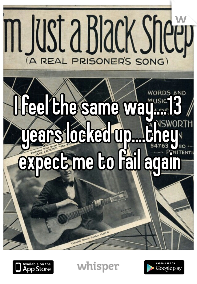 I feel the same way....13 years locked up....they expect me to fail again