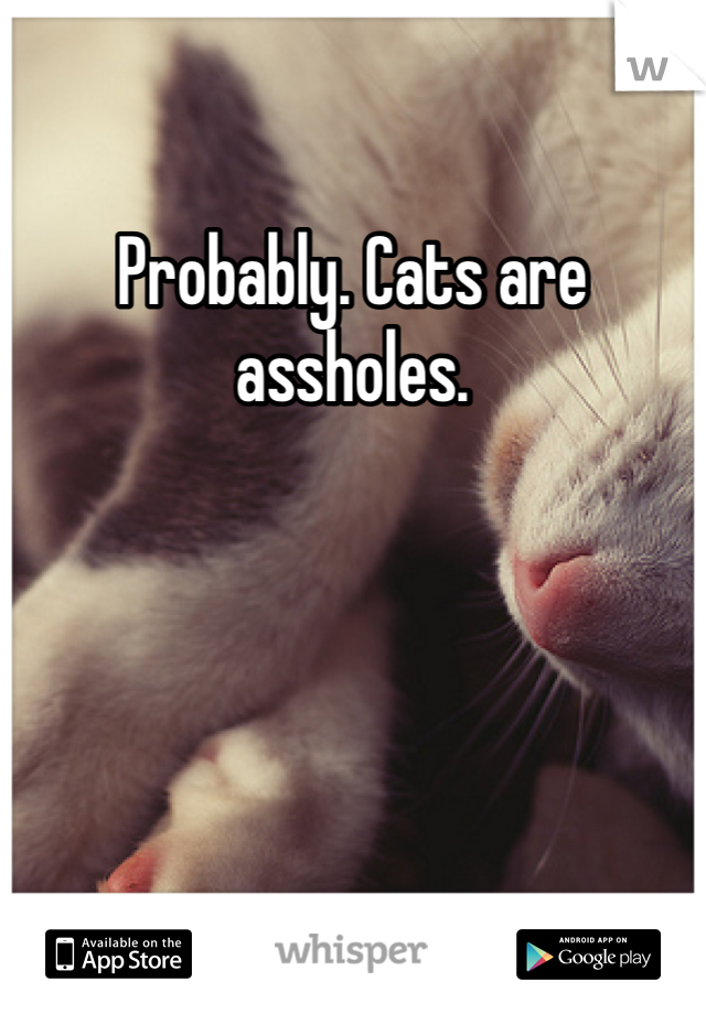 Probably. Cats are assholes. 