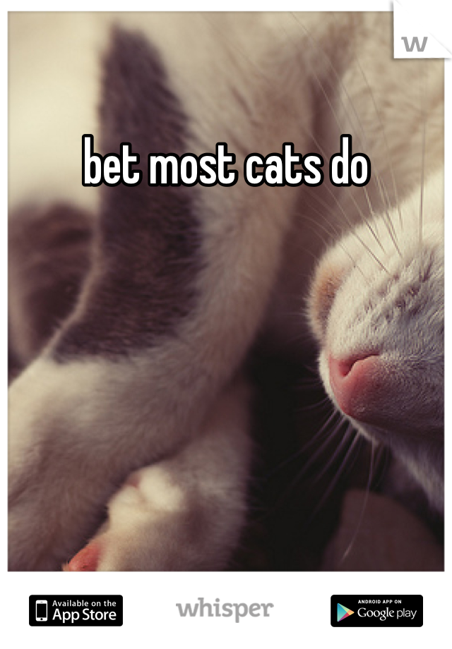 bet most cats do