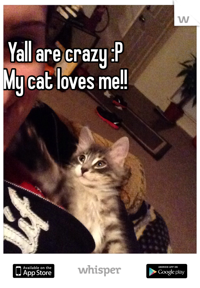 Yall are crazy :P
My cat loves me!!
