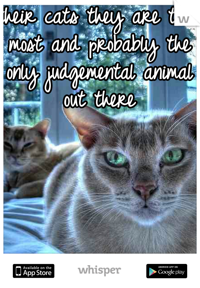 their cats they are the most and probably the only judgemental animal out there