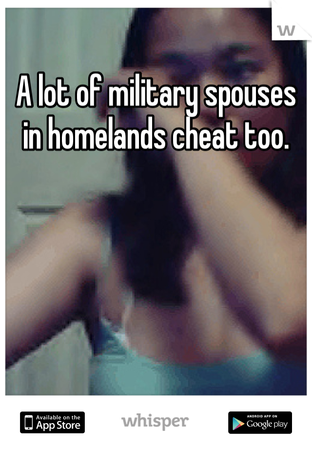 A lot of military spouses in homelands cheat too.