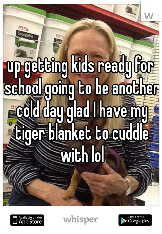 up getting kids ready for school going to be another cold day glad I have my tiger blanket to cuddle with lol