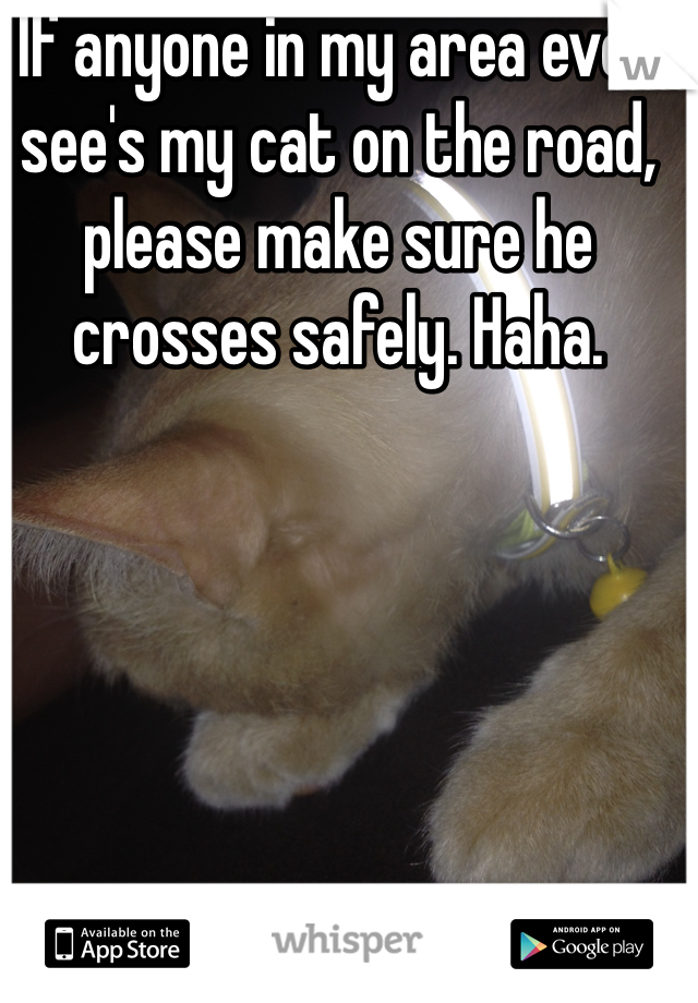 If anyone in my area ever see's my cat on the road, please make sure he crosses safely. Haha. 
