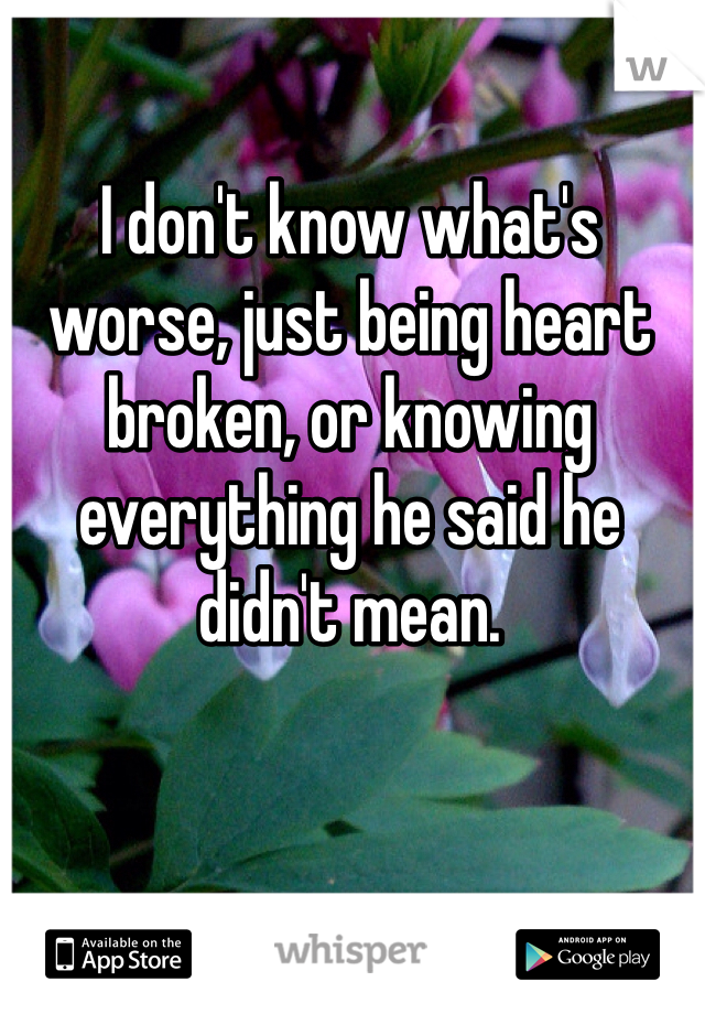 I don't know what's worse, just being heart broken, or knowing everything he said he didn't mean. 