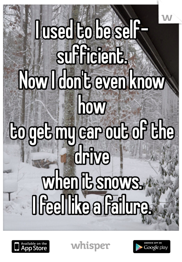I used to be self-sufficient.
Now I don't even know how
to get my car out of the drive
when it snows.
I feel like a failure.