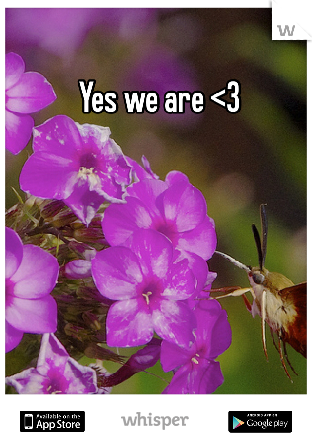 Yes we are <3