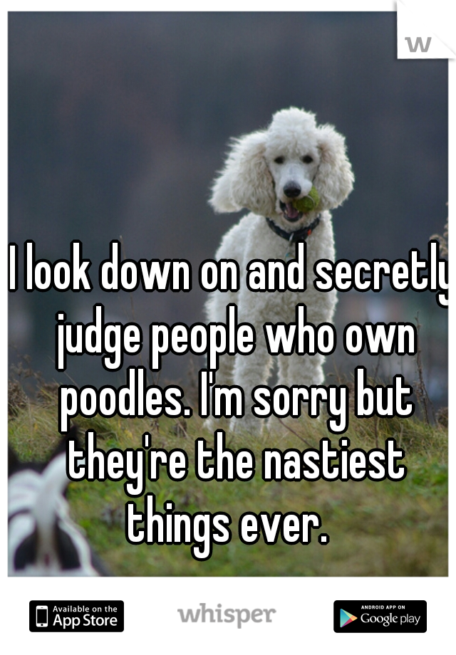 I look down on and secretly judge people who own poodles. I'm sorry but they're the nastiest things ever.  