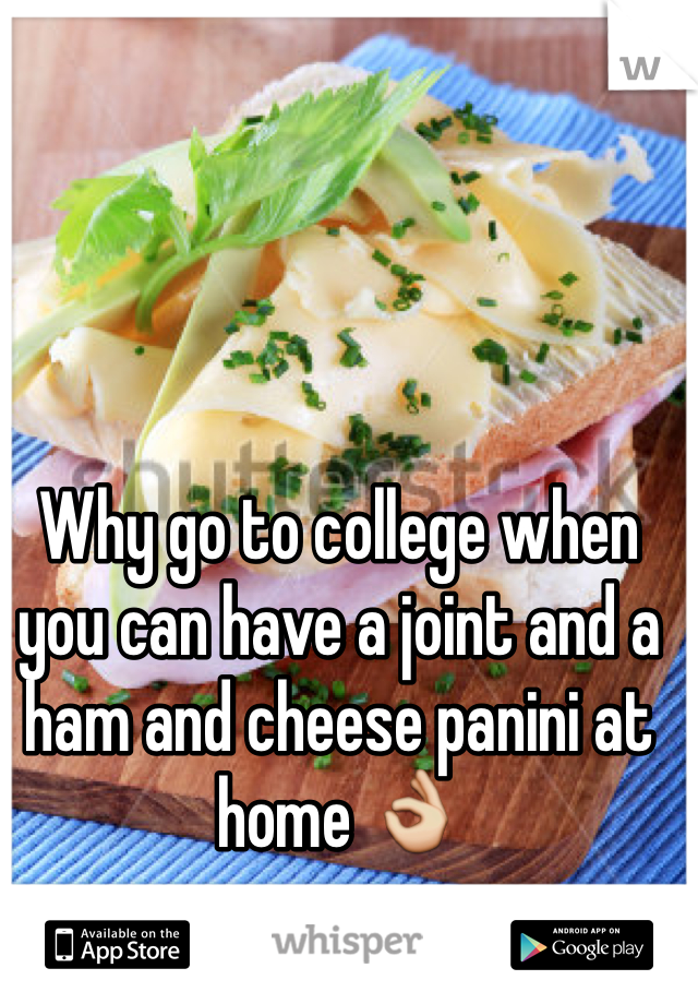 Why go to college when you can have a joint and a ham and cheese panini at home 👌
