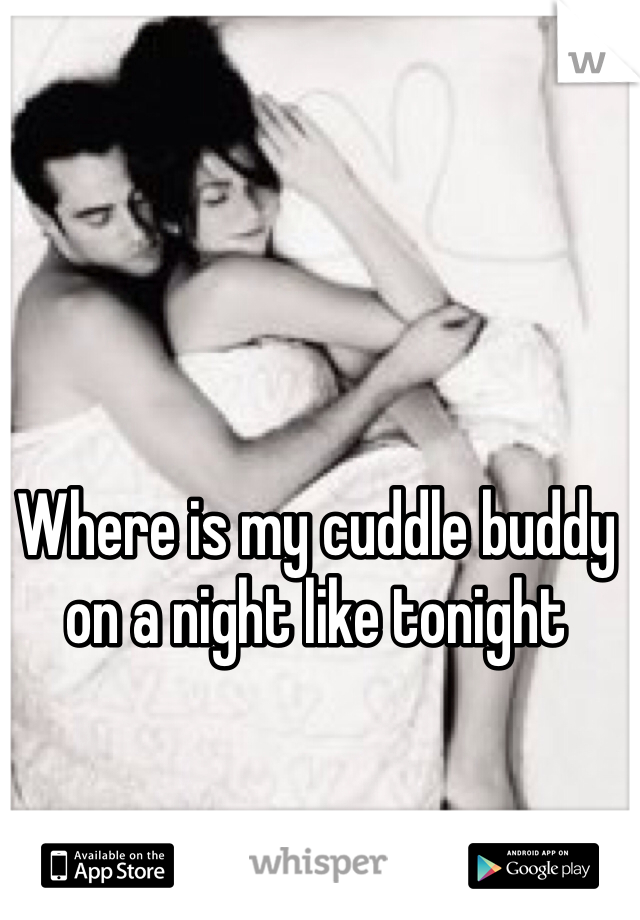 Where is my cuddle buddy on a night like tonight