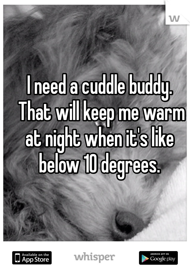 I need a cuddle buddy.
 That will keep me warm at night when it's like below 10 degrees. 