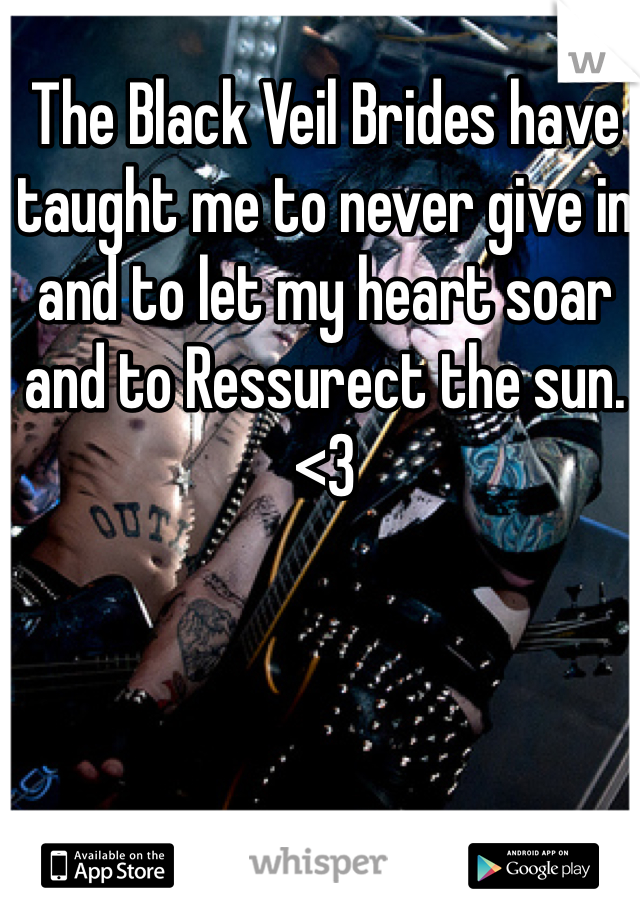The Black Veil Brides have taught me to never give in and to let my heart soar and to Ressurect the sun. <3
