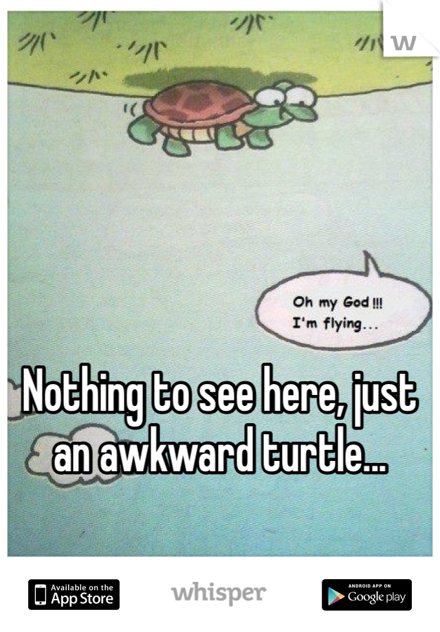 





Nothing to see here, just an awkward turtle...