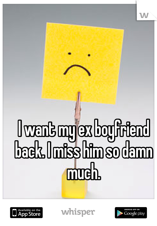 I want my ex boyfriend back. I miss him so damn much. 