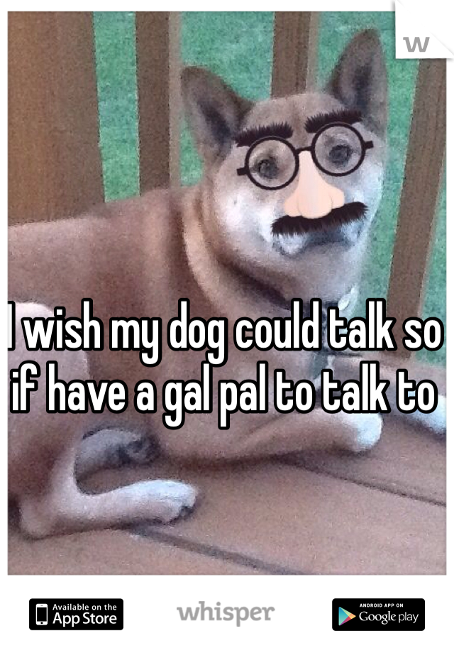 I wish my dog could talk so if have a gal pal to talk to 