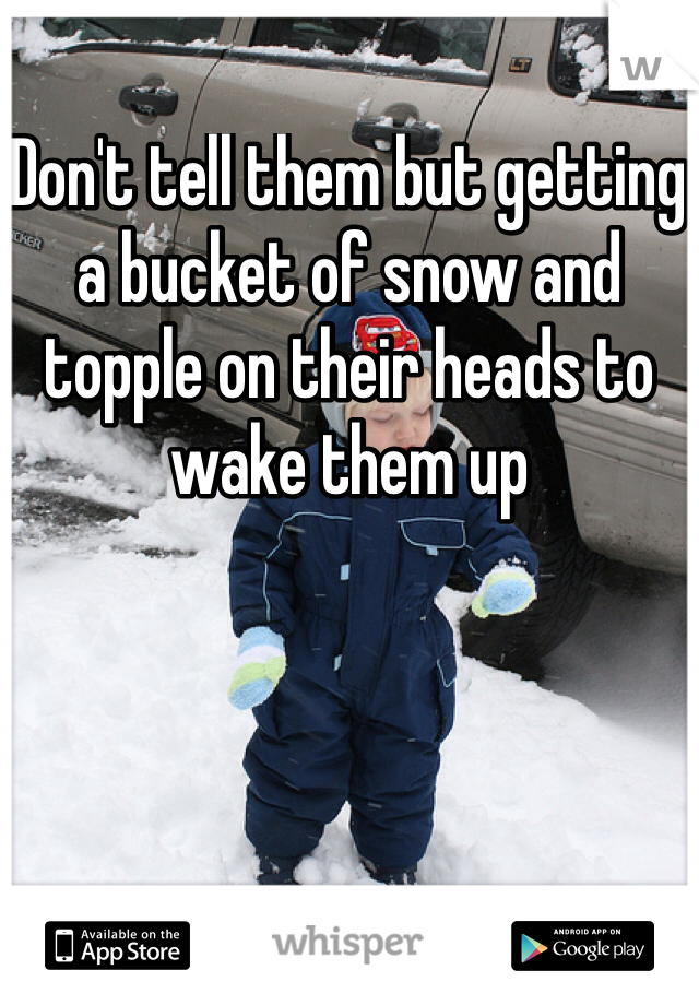 Don't tell them but getting a bucket of snow and topple on their heads to wake them up