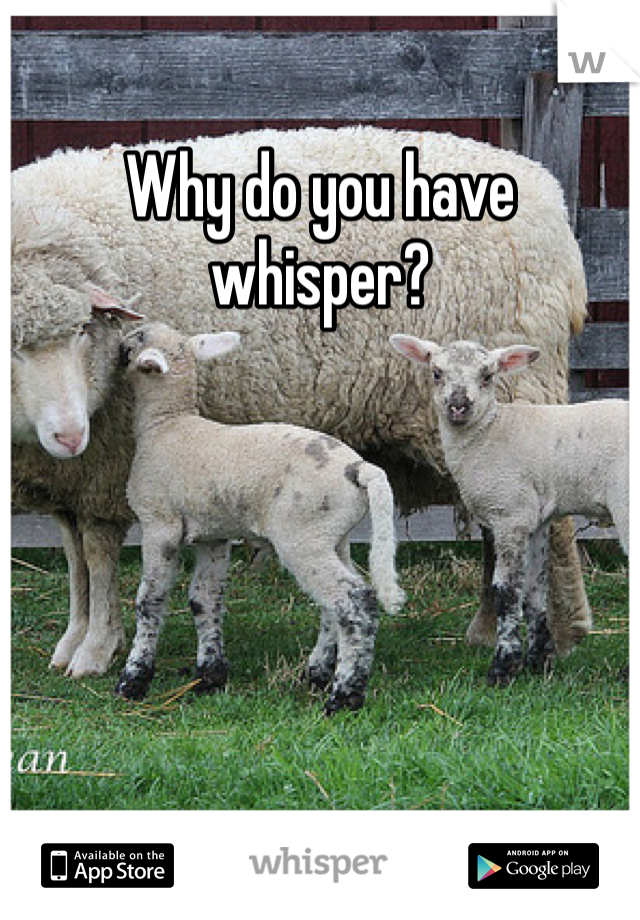 Why do you have whisper?