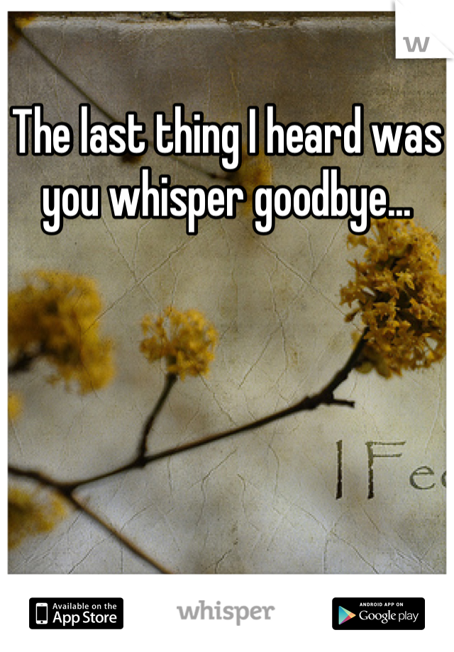 The last thing I heard was you whisper goodbye...
