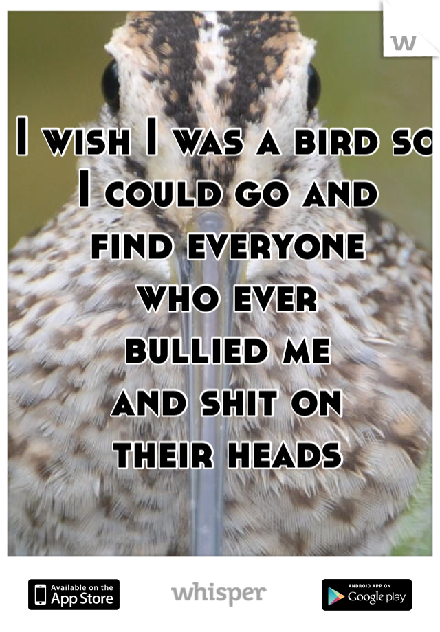 I wish I was a bird so 
I could go and 
find everyone 
who ever 
bullied me 
and shit on 
their heads