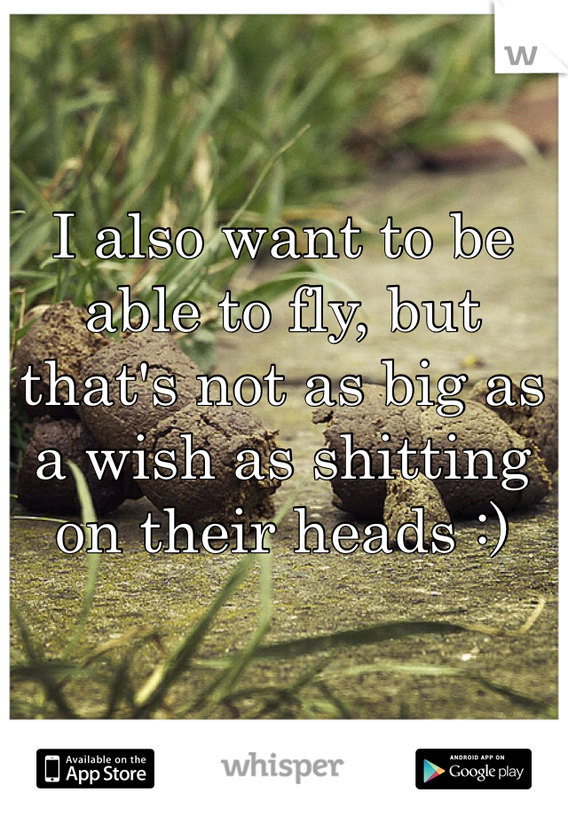 I also want to be able to fly, but that's not as big as a wish as shitting on their heads :) 