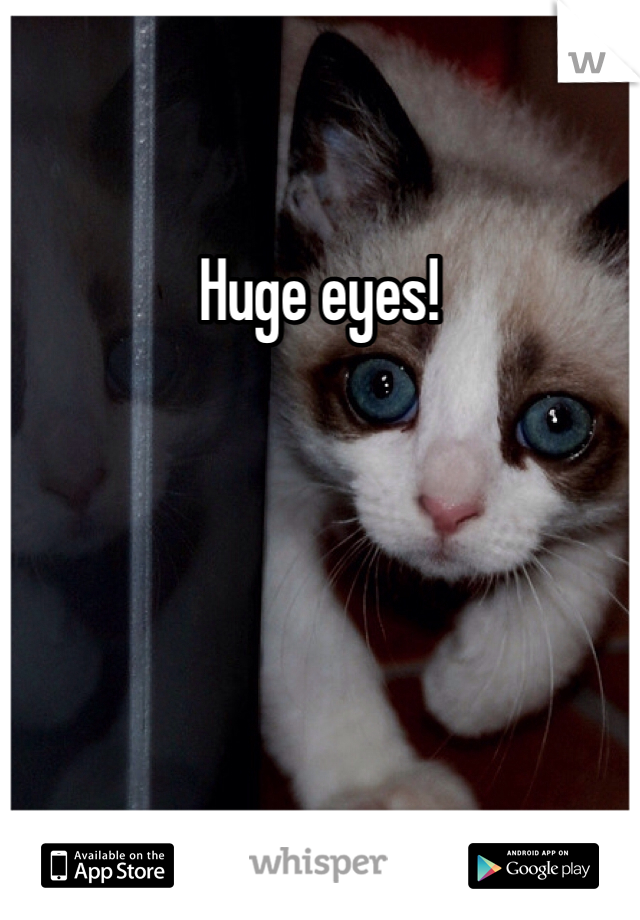 Huge eyes!