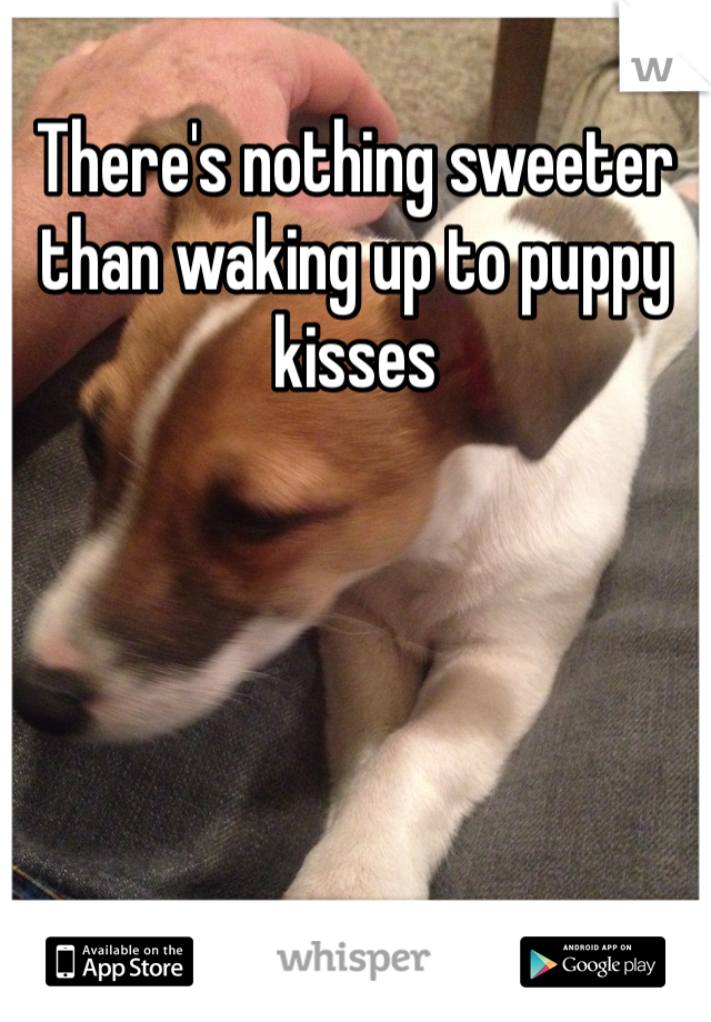 There's nothing sweeter than waking up to puppy kisses