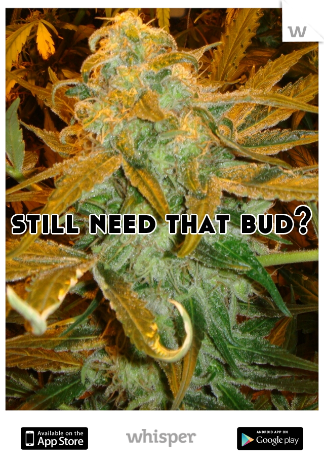 still need that bud?