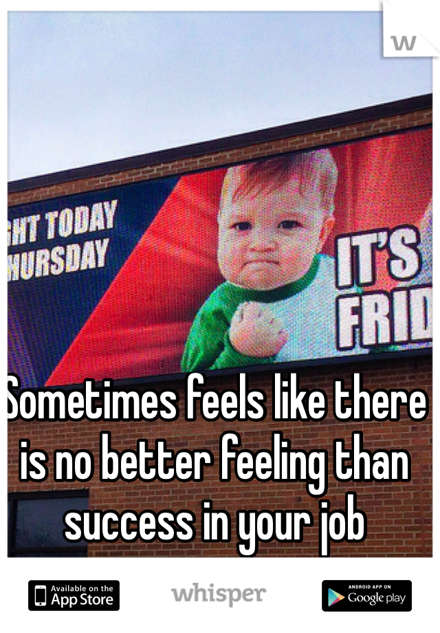 Sometimes feels like there is no better feeling than success in your job